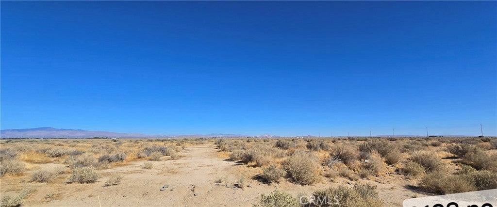 Photo of Listing #DW24241413