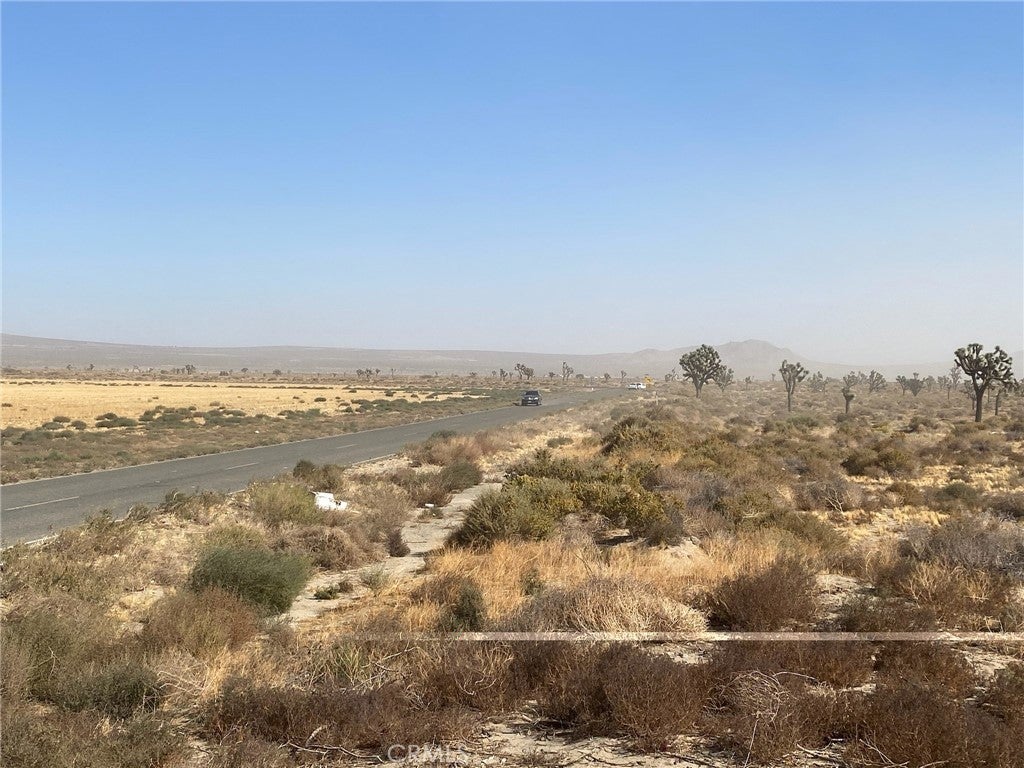 Photo of Listing #DW24241416