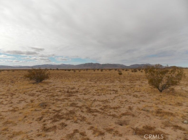 Photo of Listing #HD24241826