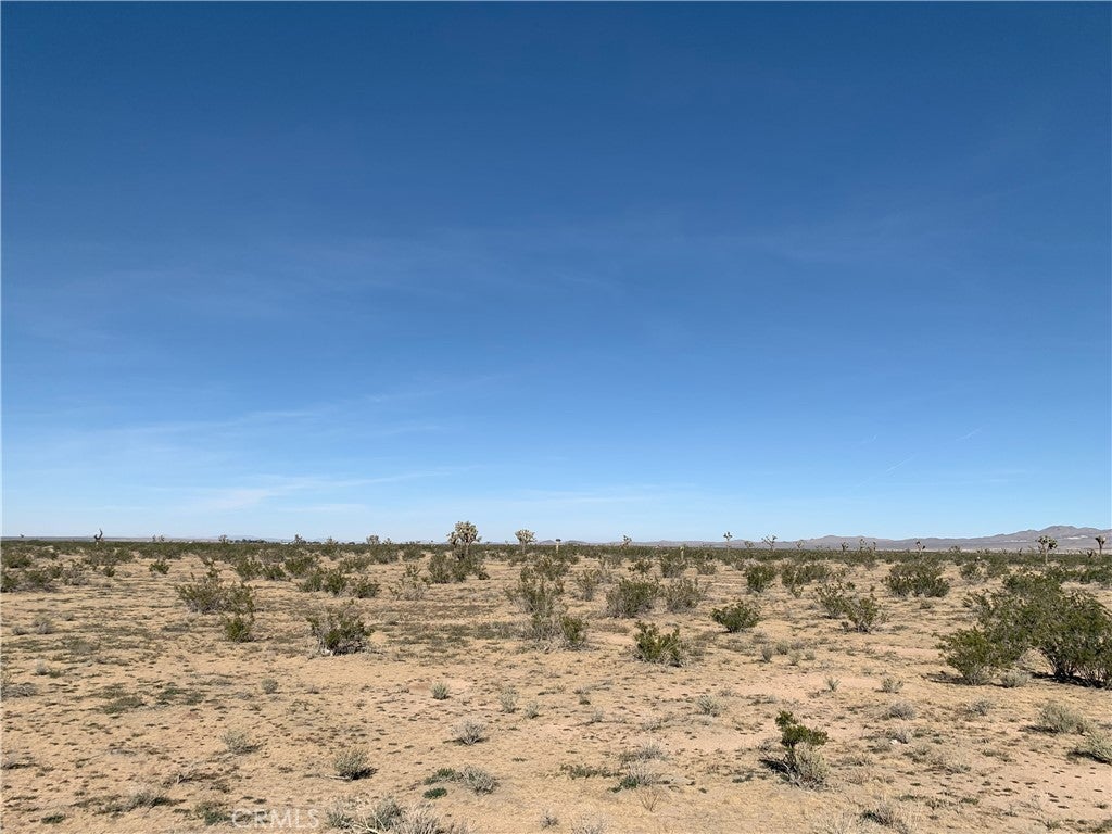 Photo of Listing #HD24242629