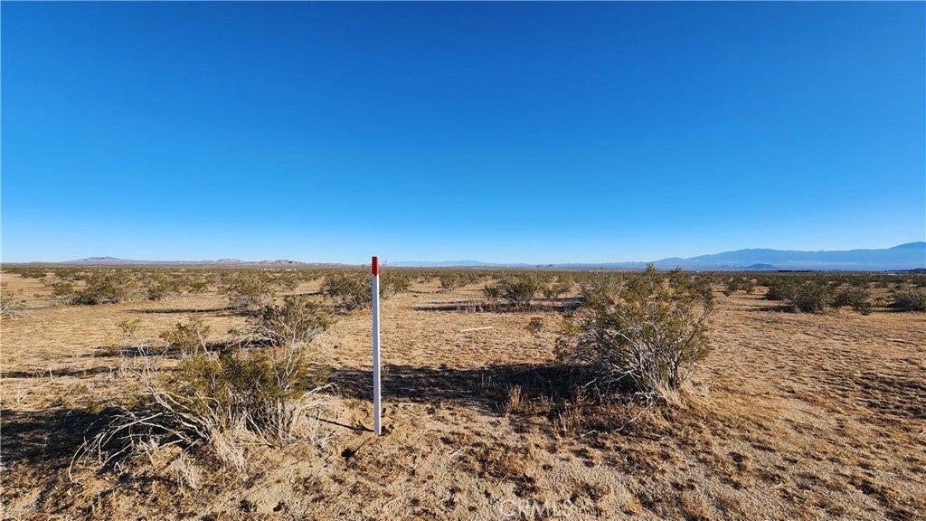 Photo of Listing #DW24244077