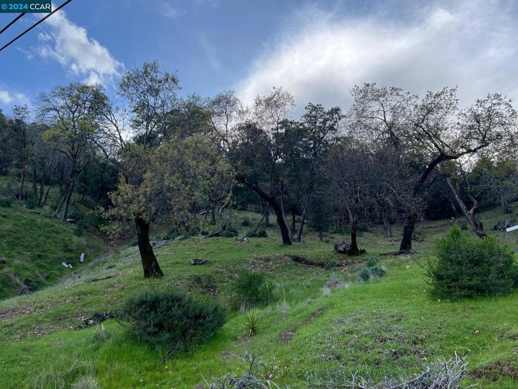 Photo of Listing #41080171