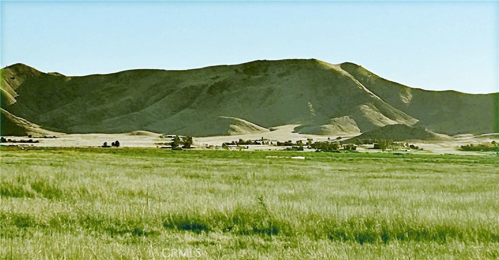 Photo of Listing #PI24248797