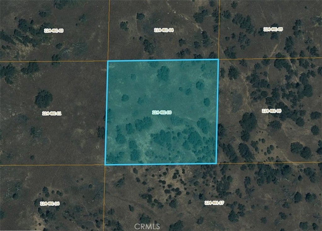 Photo of Listing #SR24251365