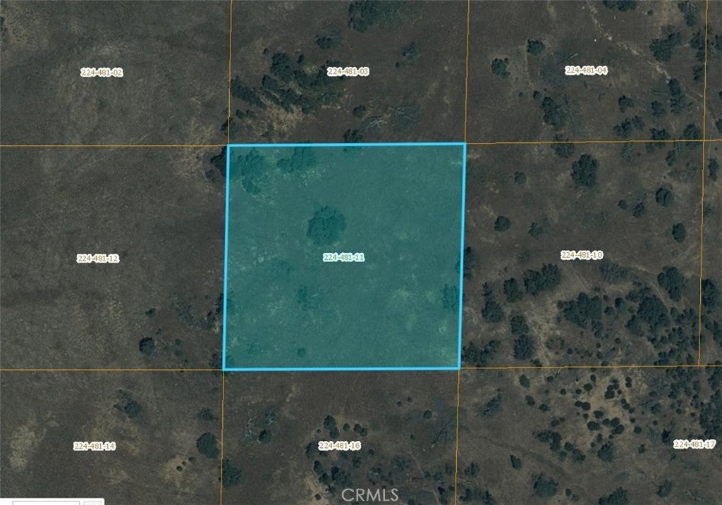 Photo of Listing #SR24251376