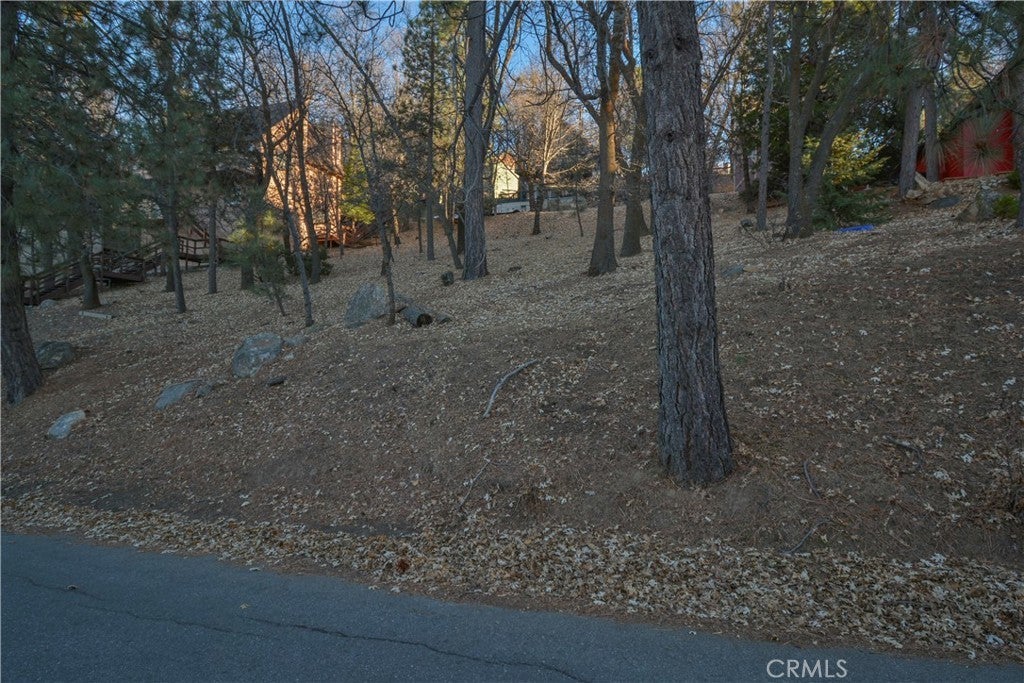 1411 Yosemite Drive, Lake Arrowhead