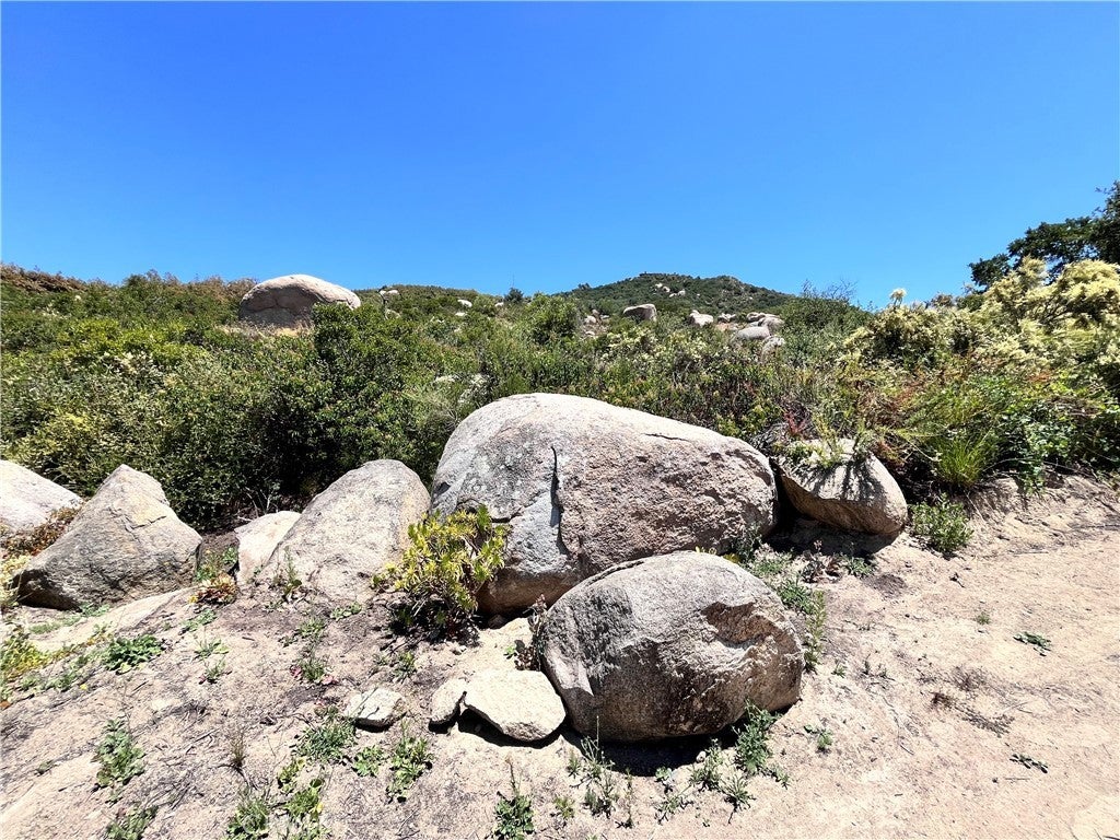 Photo of Listing #OC24251734