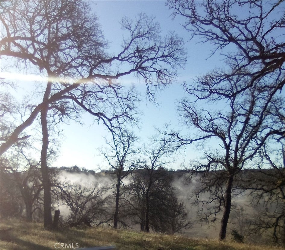 Photo of Listing #TR24251845