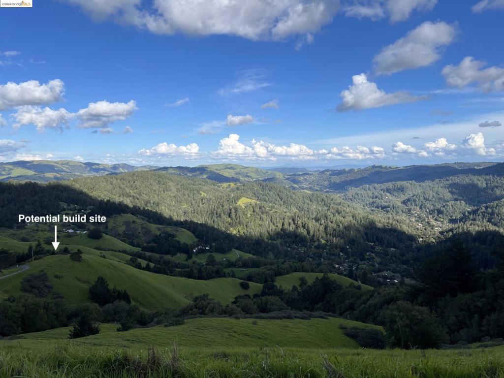 Photo of Listing #41081085