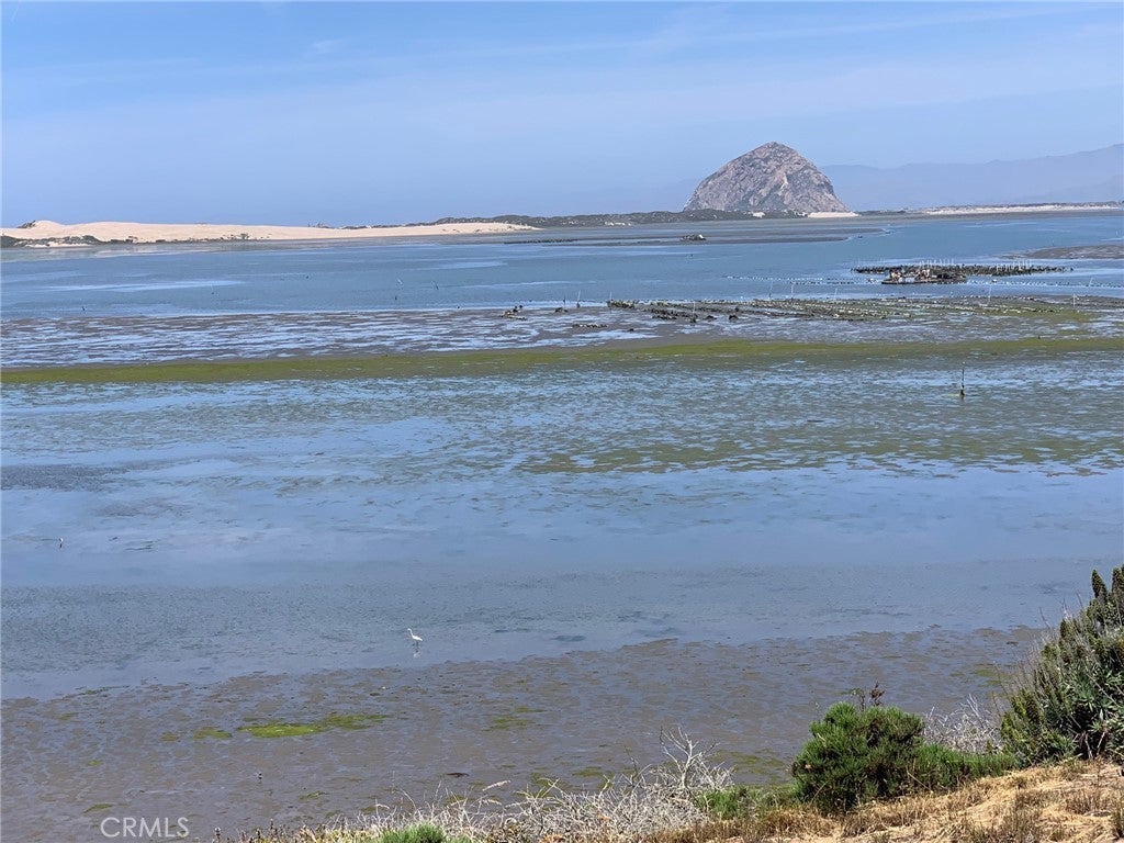 Photo of Listing #SC24254510