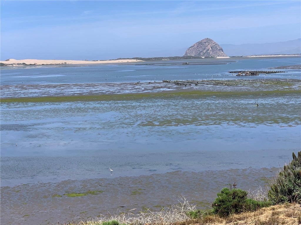 Photo of Listing #SC24254510