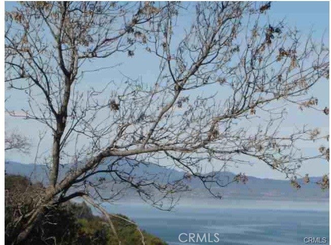 Photo of Listing #LC24255093