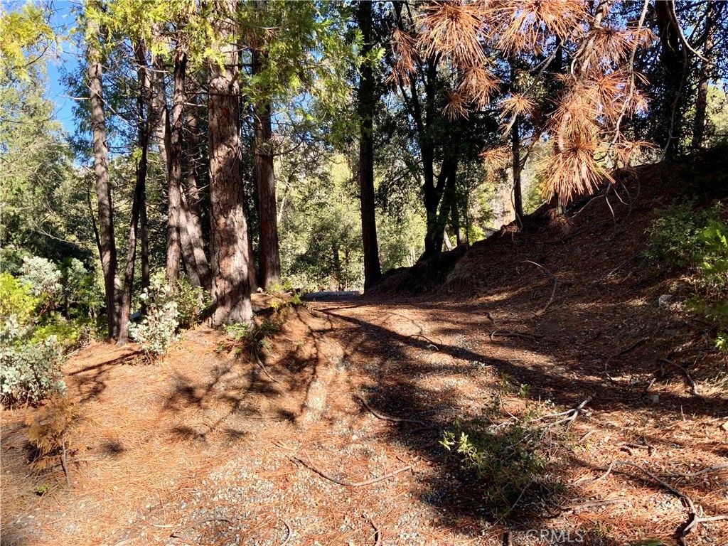 50963 Chu Ranch Road, Oakhurst