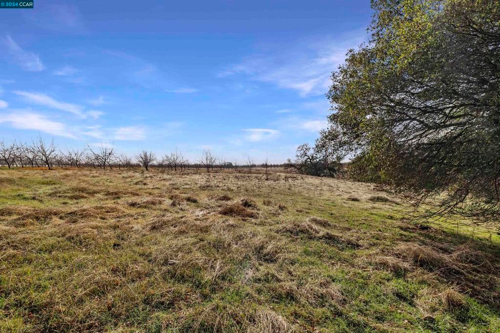 Photo of Listing #41081319