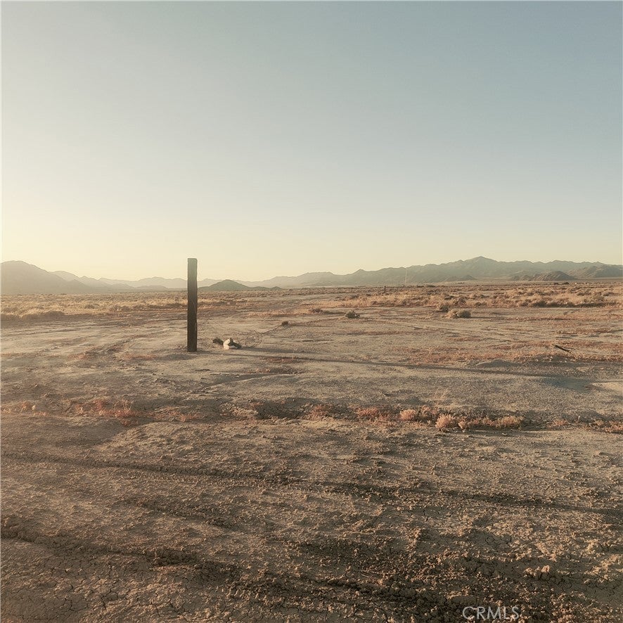 Photo of Listing #HD25001028