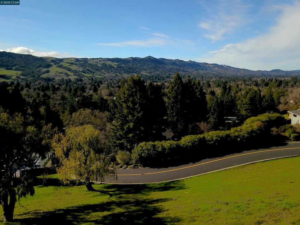 336 Merrilee Pl, Danville