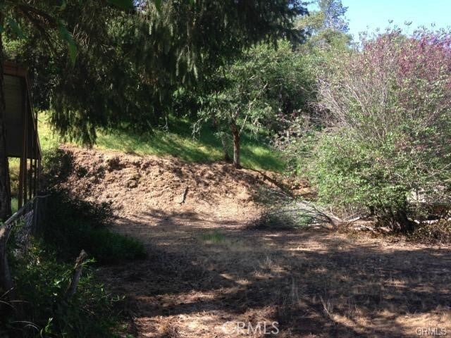 Photo of Listing #LC25002642