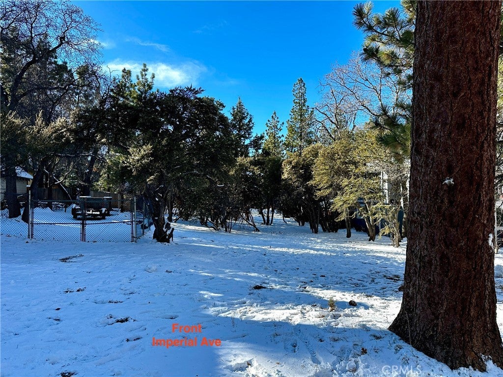 Photo of Listing #TR25004497