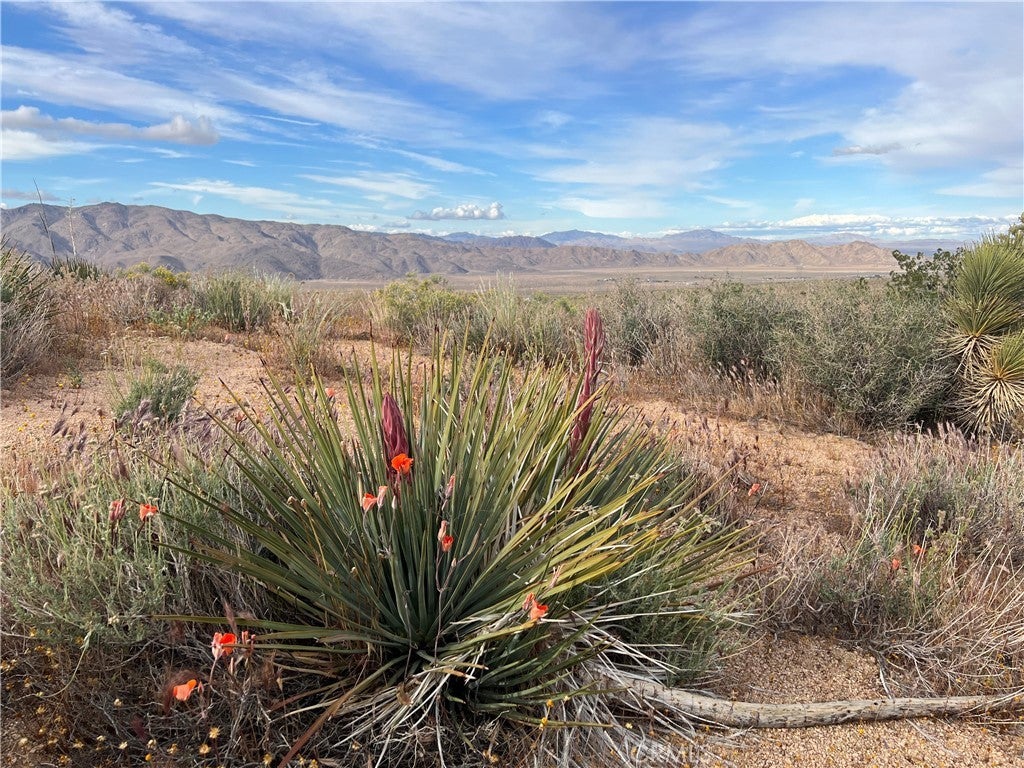 Photo of Listing #HD25002017