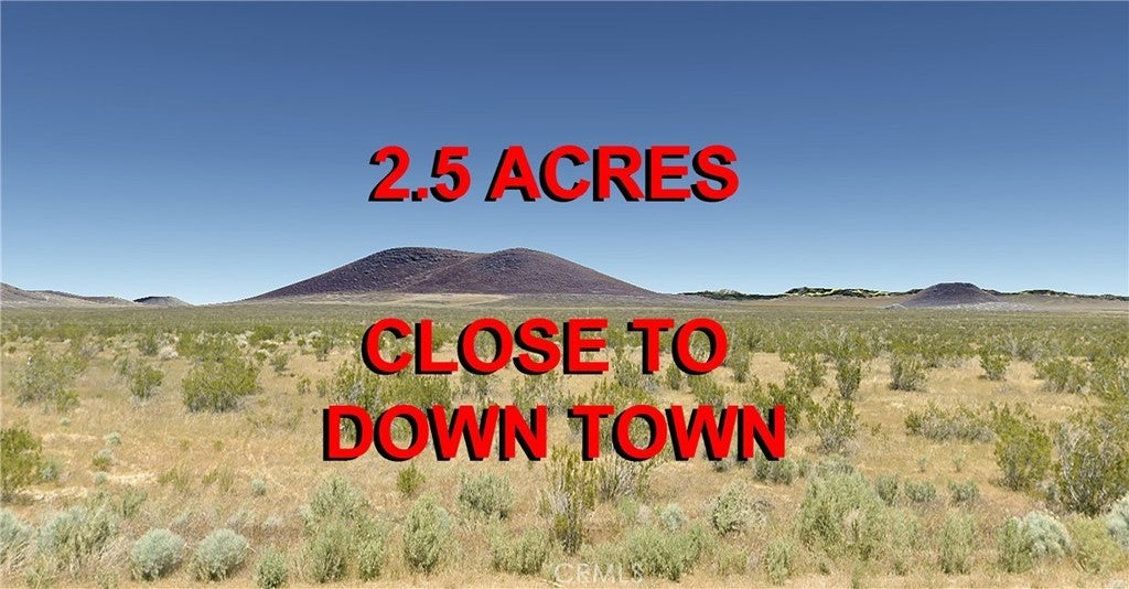 Photo of Listing #PI25006676