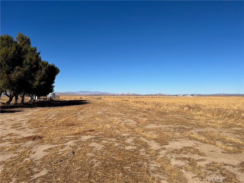 Photo of Listing #SR25007089