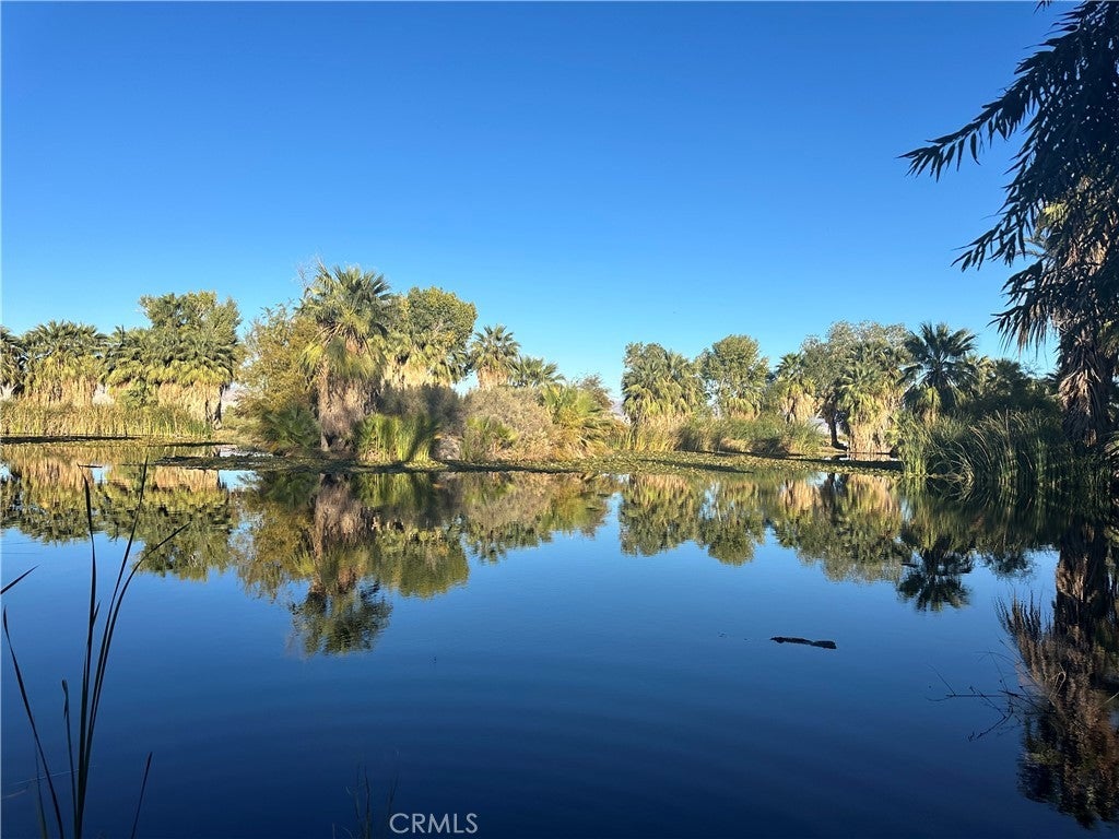 Photo of Listing #WS25008261