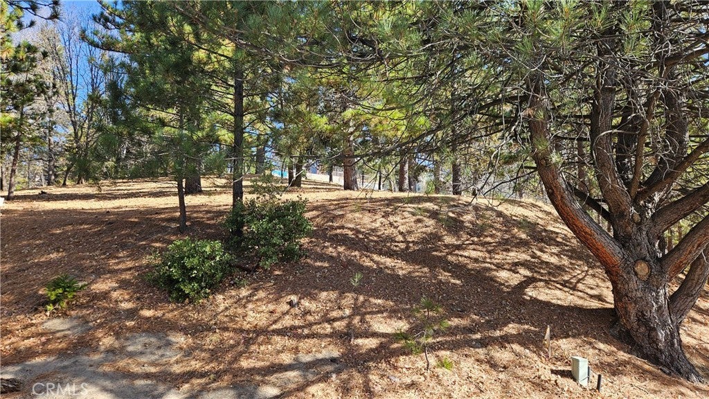 Photo of Listing #IG25008532