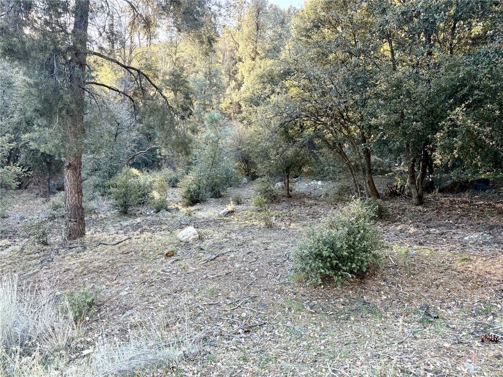 Photo of Listing #SR25008236