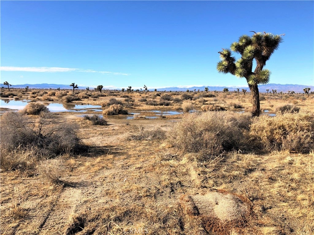 Photo of Listing #CV25008773