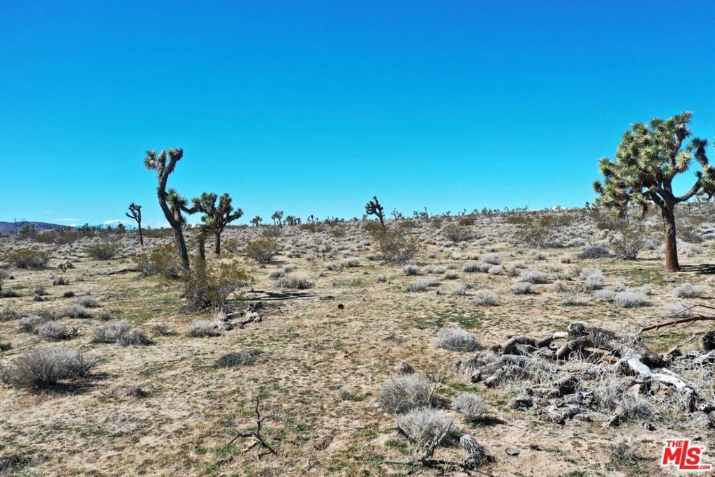 Rice Avenue, Joshua Tree
