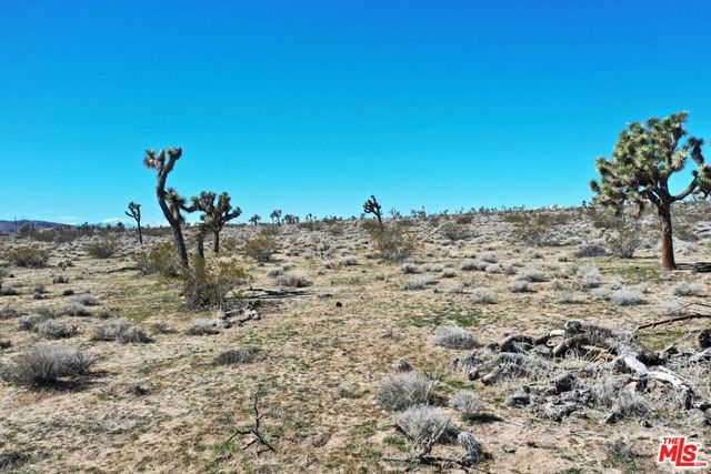 Rice Avenue, Joshua Tree