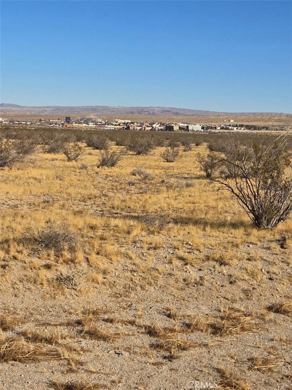 Arbuckle, Barstow