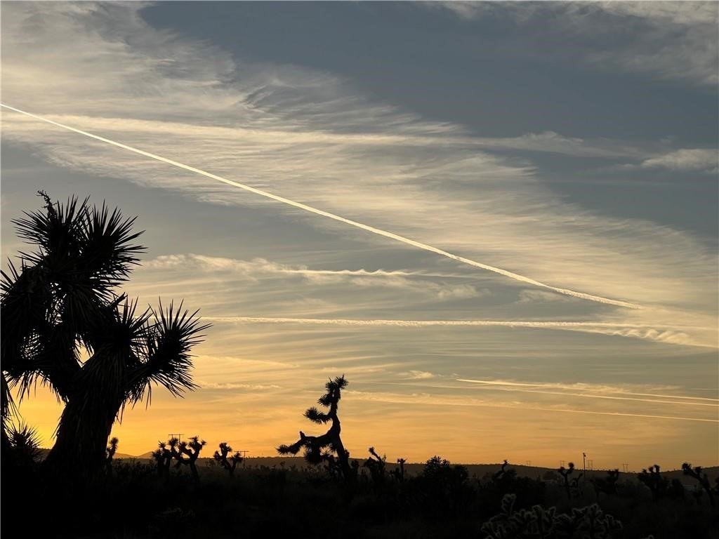 Photo of Listing #HD25006467