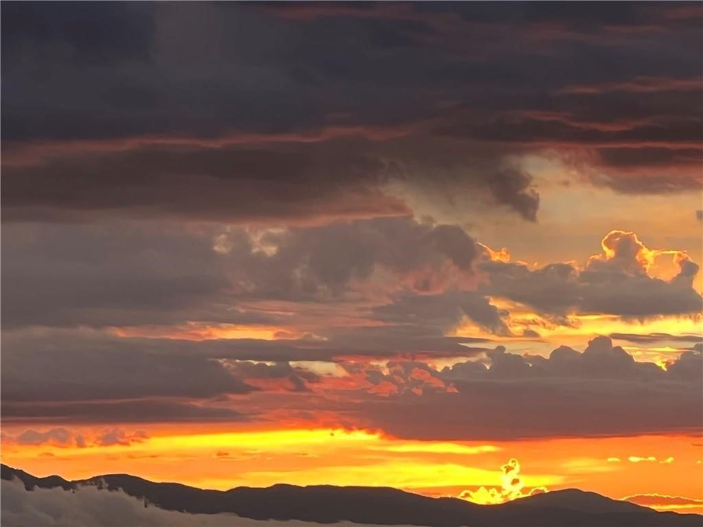 Photo of Listing #HD25006470