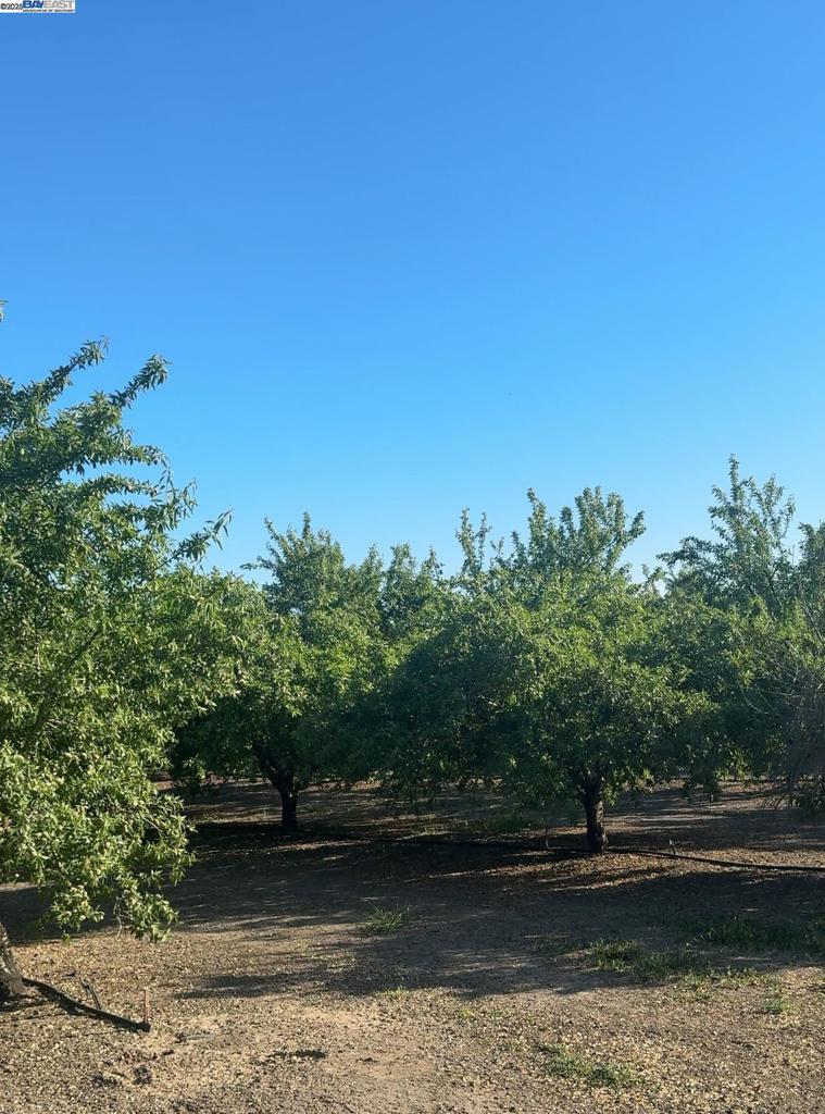 Photo of Listing #41082695