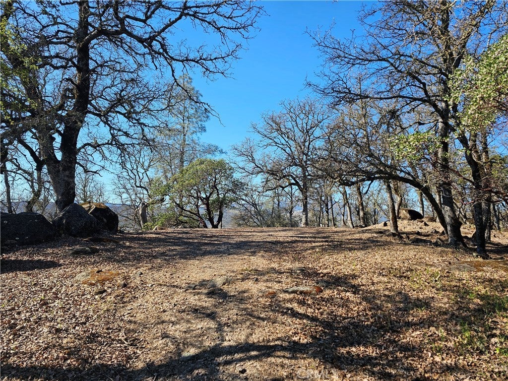 Photo of Listing #LC25014495