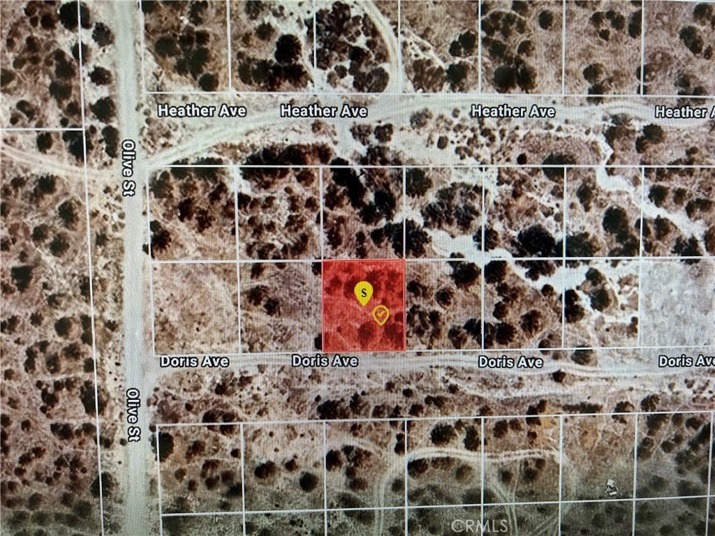 Photo of Listing #PW25015684