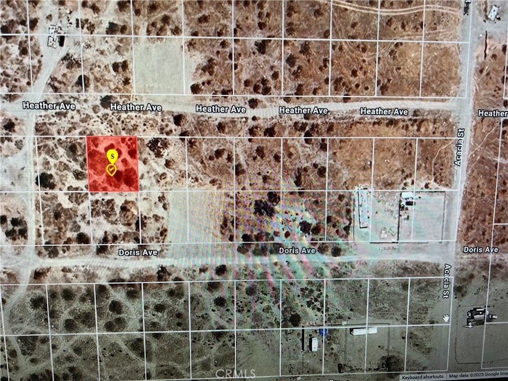 Photo of Listing #PW25016026