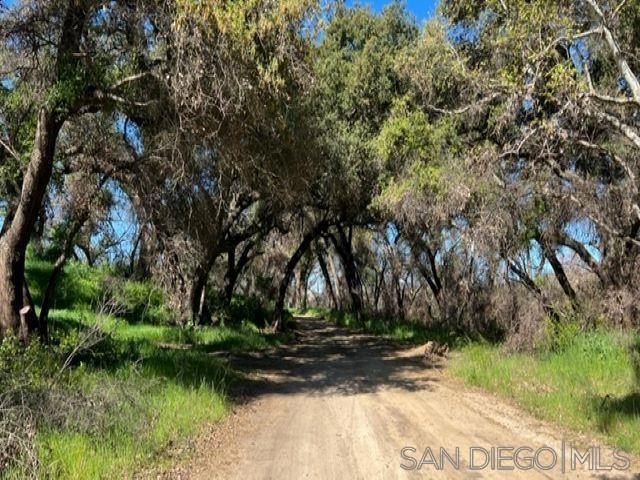 Photo of Listing #250017062SD