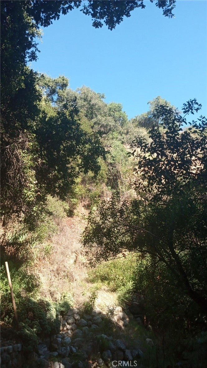 Photo of Listing #CV25018662