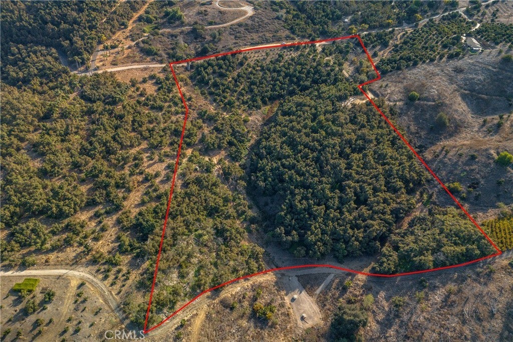 Photo of Listing #CV25011412