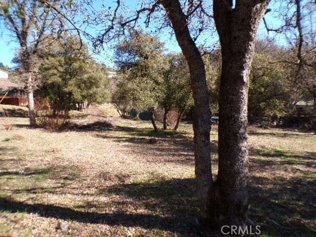 Photo of Listing #LC25020498