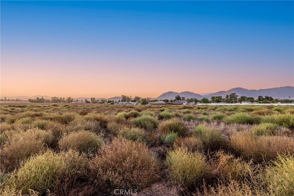 Converse Svol 16 Avenue, Nuevo