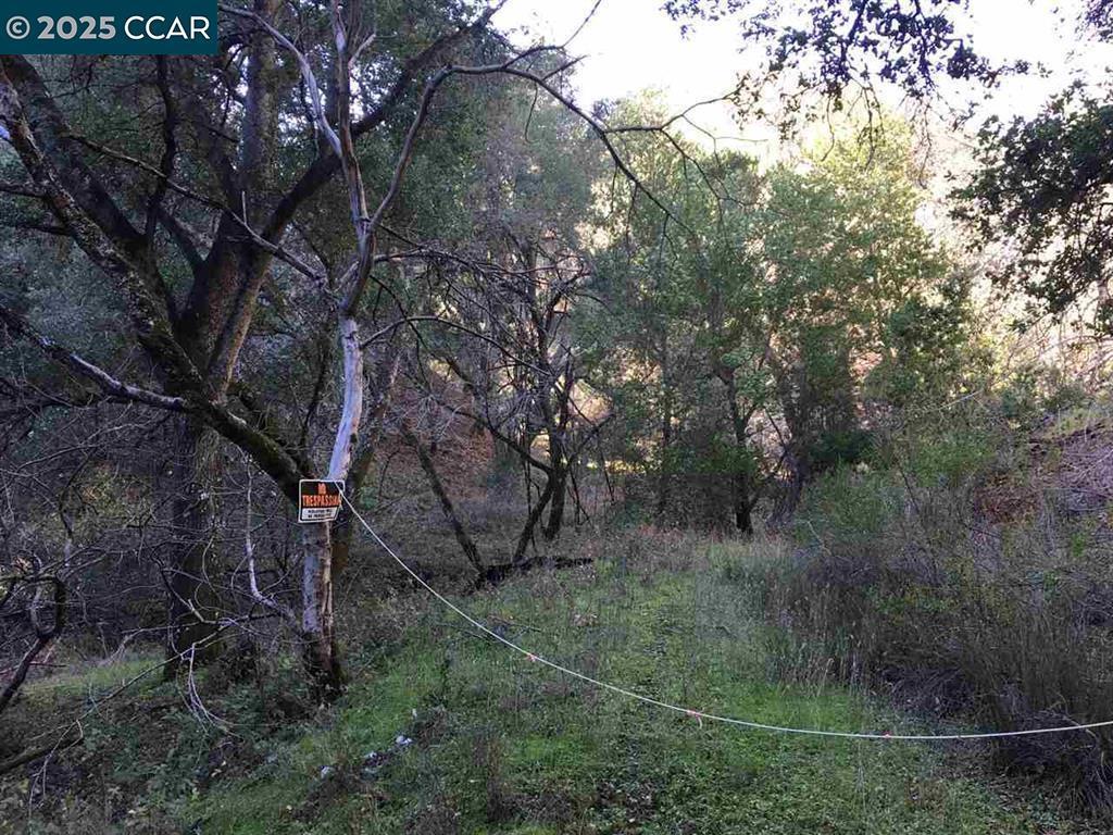 Photo of Listing #41084062