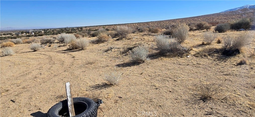 Photo of Listing #CV25022097