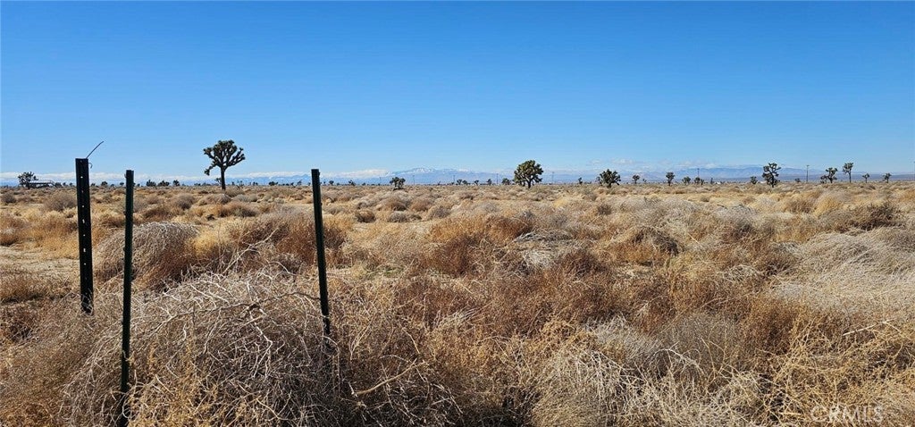 Photo of Listing #SR25019666