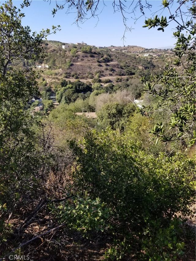 Grand View Drive, Chino Hills