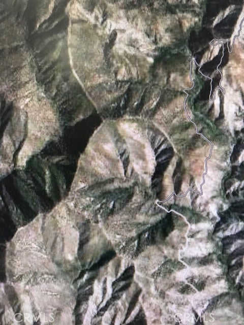 Photo of Listing #TR25025068