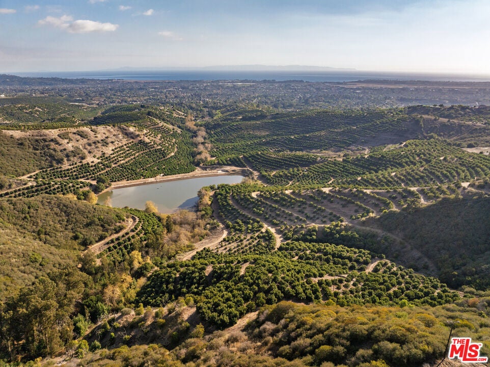 Photo of Listing #25493759