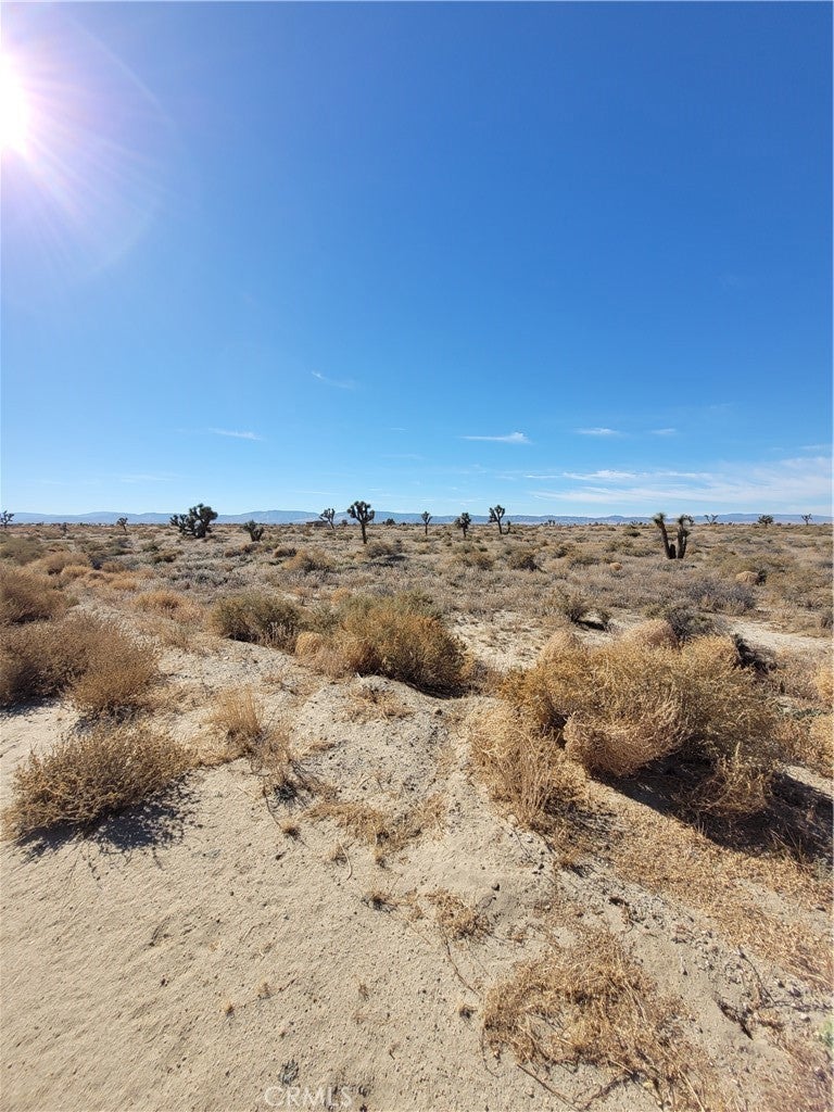 Photo of Listing #HD25028073